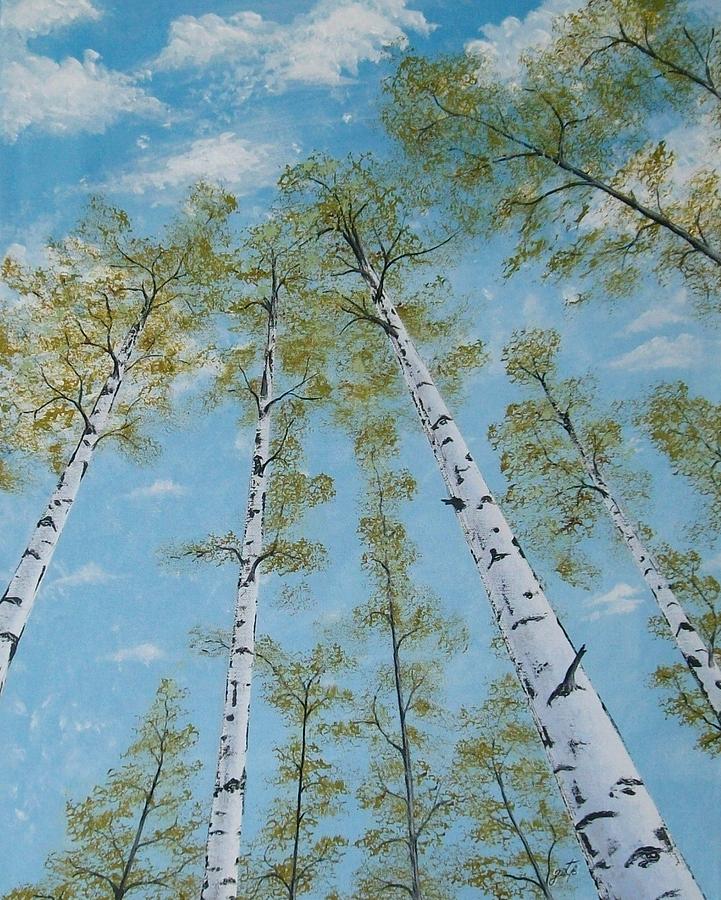 Birch Trees and Sky Painting by Georgeta  Blanaru
