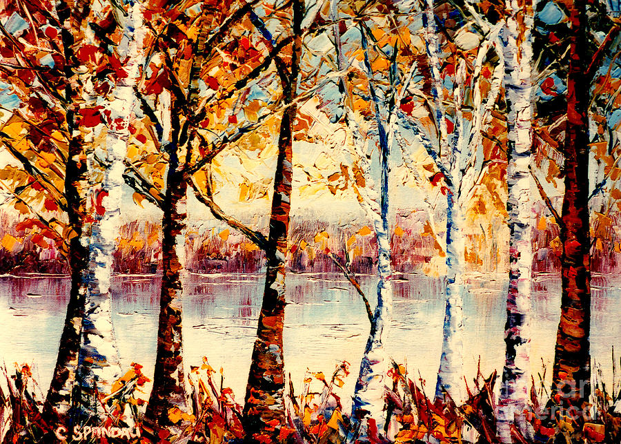 Tree Painting - Birch Trees At Lake Canadian Landscape Painting C Spandau Country Scene Quebec Artist Canadian Art   by Carole Spandau