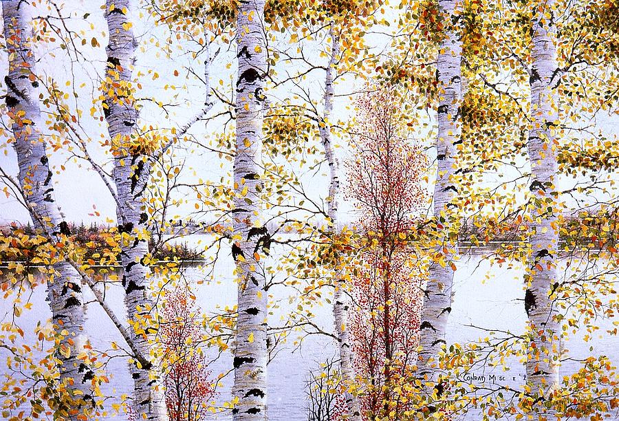 Birch-Trees at lake of Bays Painting by Conrad Mieschke