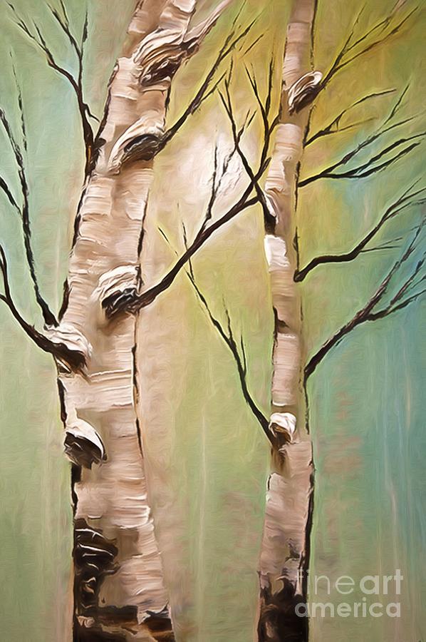 Birch Trees Color Pencil by Heinz G Mielke Birch Trees Color Pencil by Heinz G Mielke