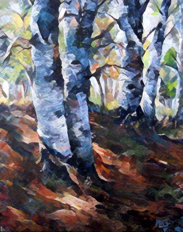 Birch trees digital Painting by Megan Walsh