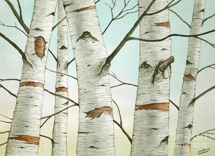 Birch Trees in Late Autumn in watercolor Painting by Christopher Shellhammer