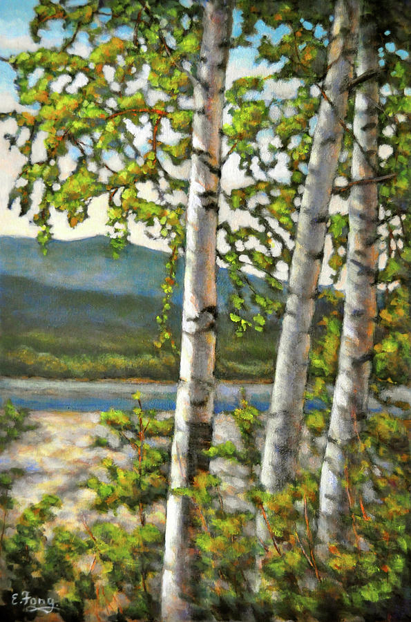 Birch Trees in the Sun Painting by Eileen  Fong