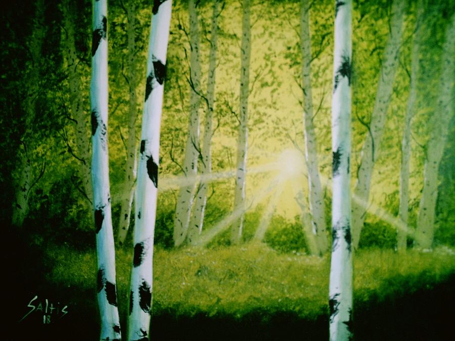 Birch Trees Painting by Jim Saltis