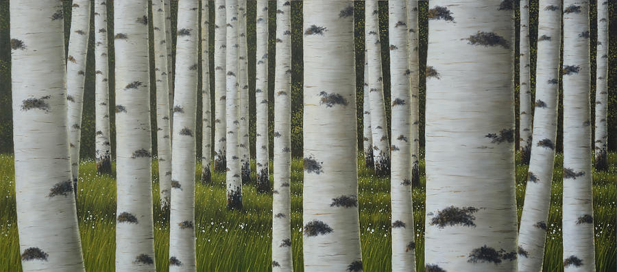 Tree Painting - Birch trees thicket by Miljan Vasiljevic