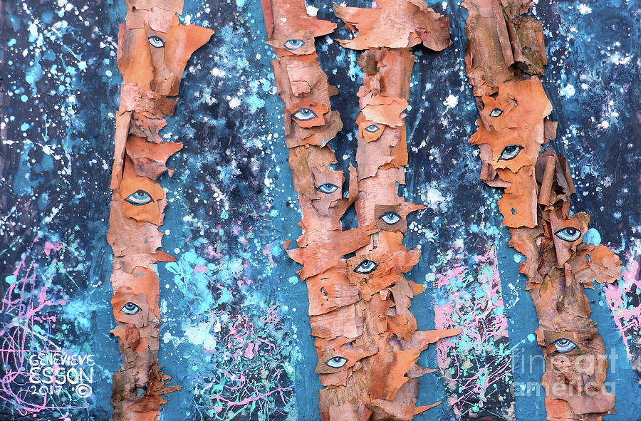 Birch Trees With Eyes Mixed Media by Genevieve Esson