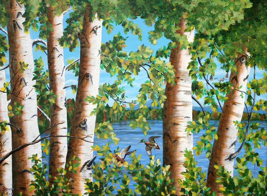 Birches Along the Androscoggin River Painting by Brenda Baker