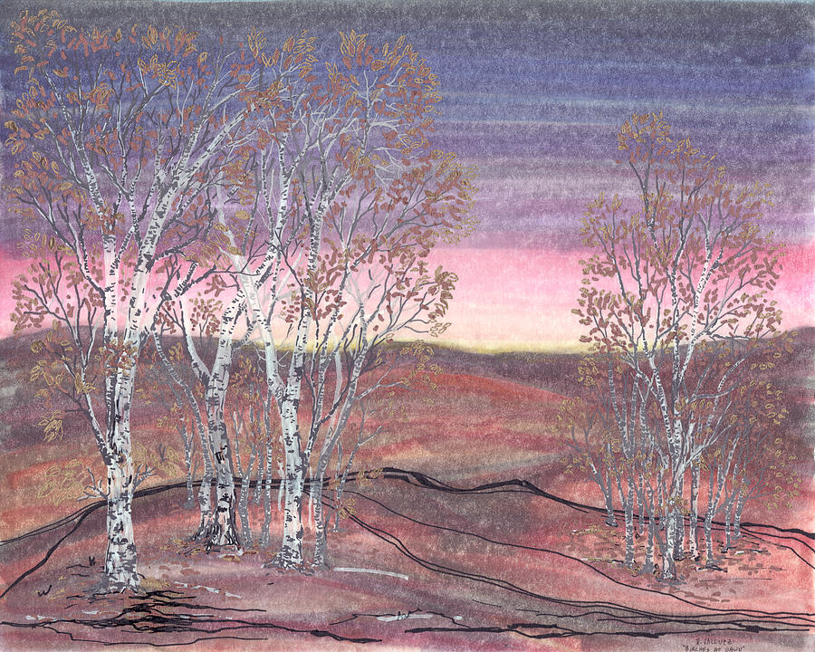 Birches at Dawn Drawing by Regina Valluzzi