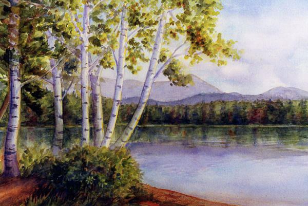 Birches at White Lake by Janet Zeh Birches at White Lake by Janet Zeh