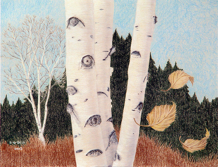Fall Painting - Birches by Betsy Gray Bell