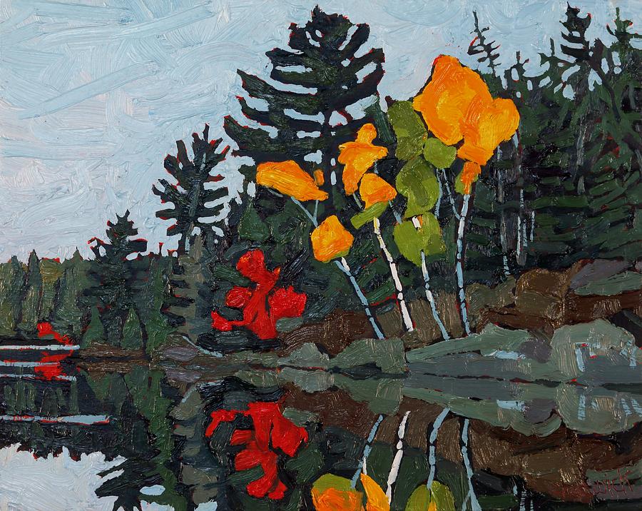 Birches Canoe Lake Painting by Phil Chadwick