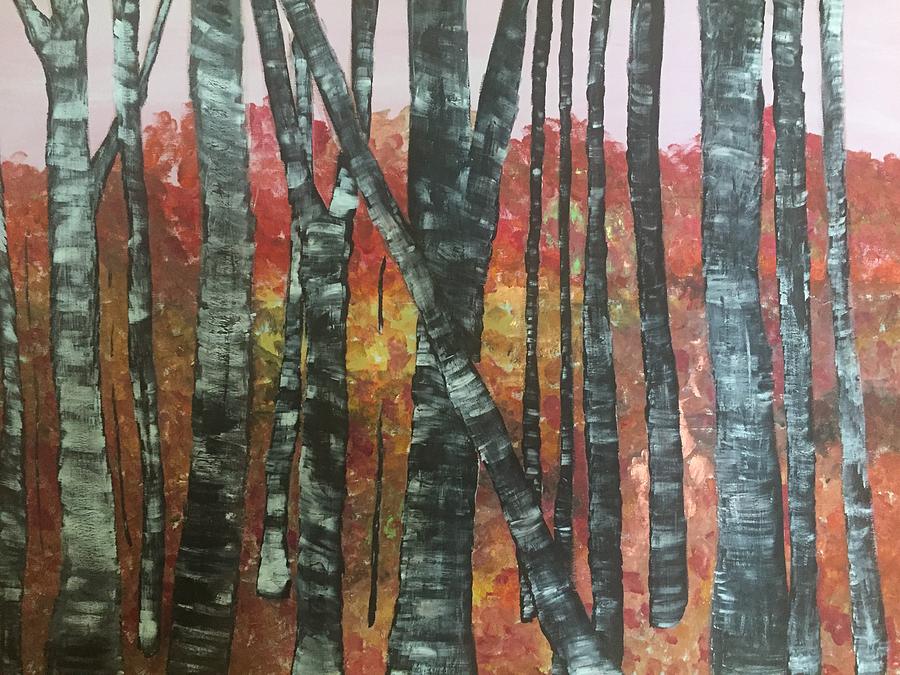 Birches in the Fall Painting by Paula Brown
