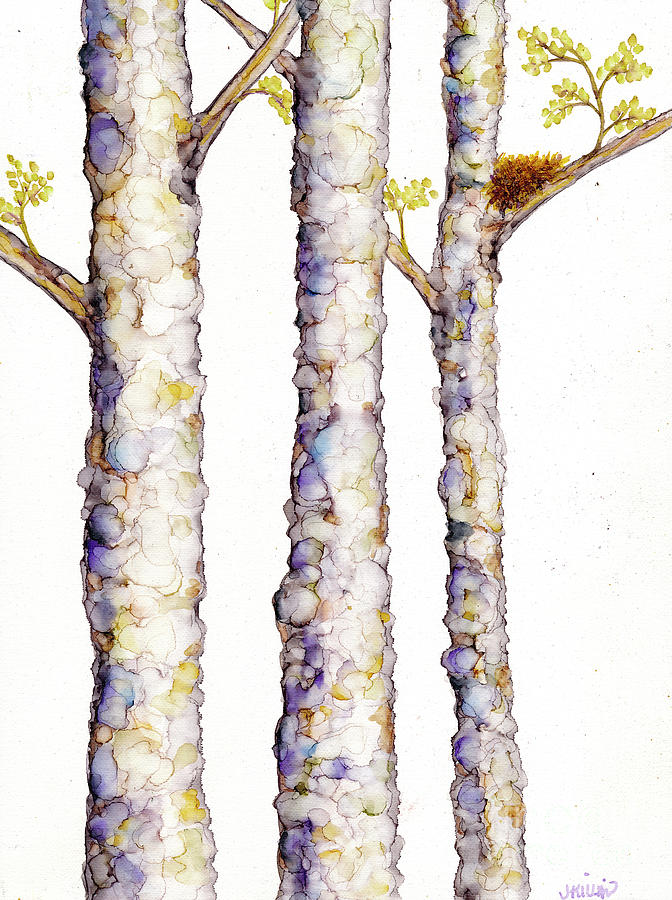 Birches Painting by Jan Killian