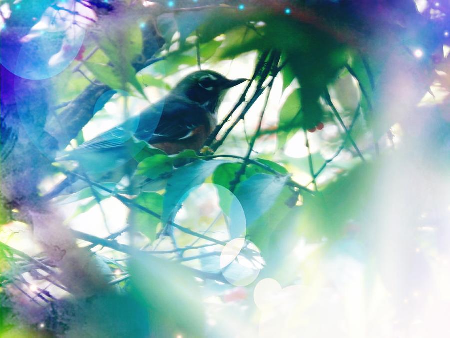 Bird and Blue Photograph by Deborah Kunesh