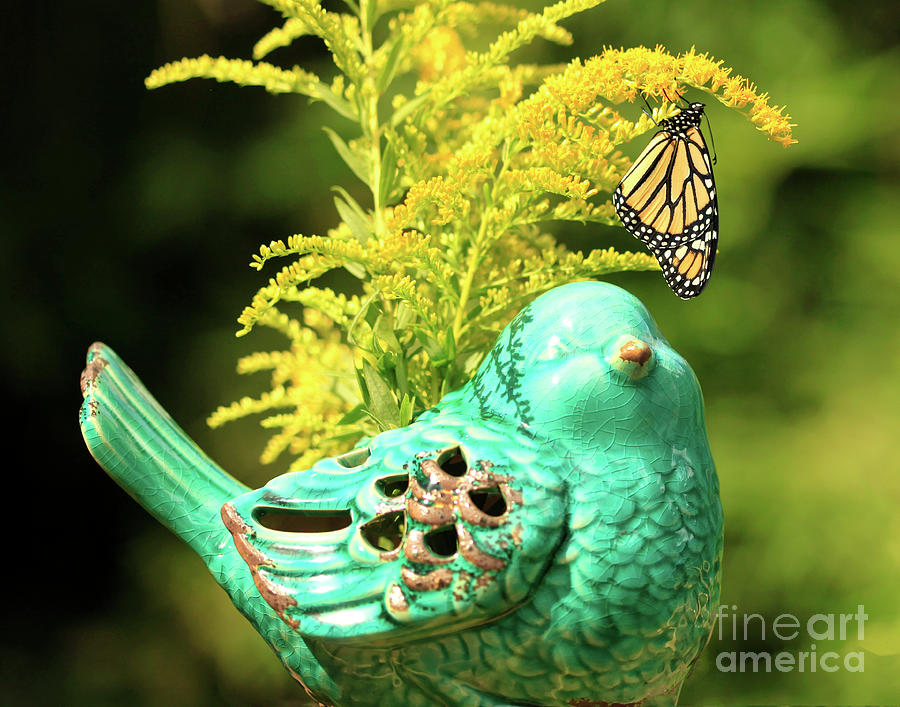 Bird and Butterfly on Flowers Photograph by Luana K Perez