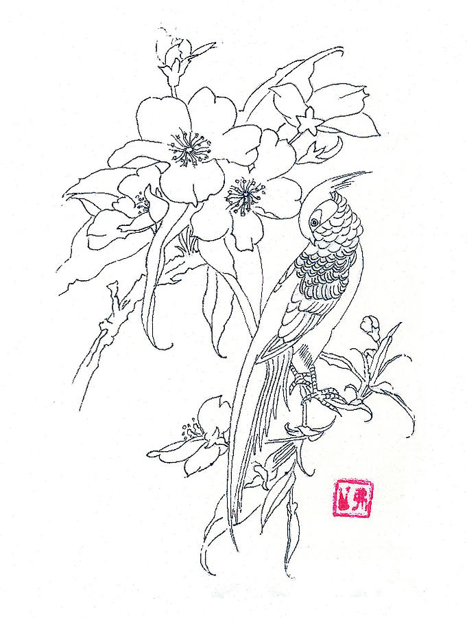 Bird And Flowers