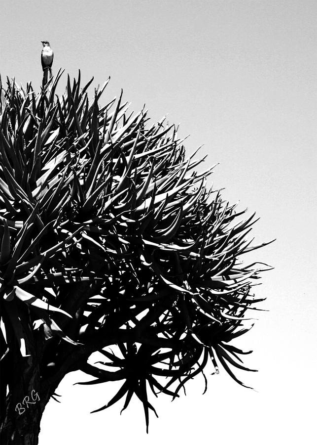 Black And White Photograph - Bird And Tree by Ben and Raisa Gertsberg