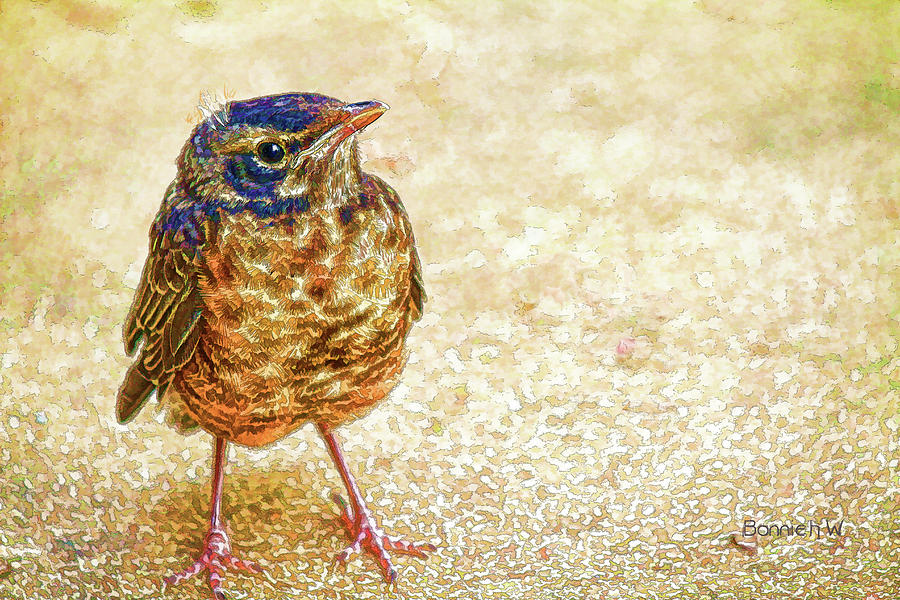 Bird Digital Art by Bonnie Willis