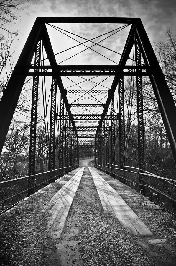 Bird Bridge Black and White Photograph by Eric Benjamin