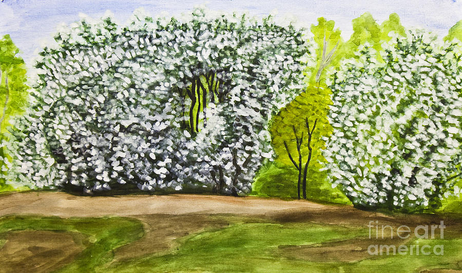 Bird cherry tree in blossom, painting Painting by Irina Afonskaya