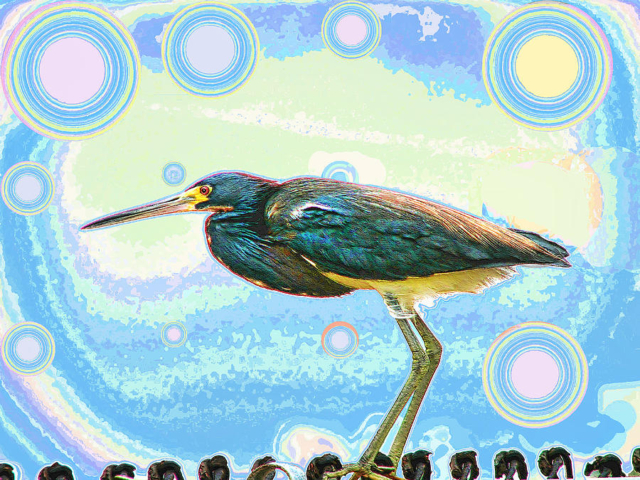 Feather Digital Art - Bird Contemplates The Cosmos by Wendy J St Christopher