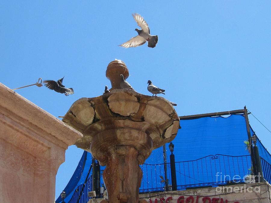 Bird Dancer Old Jerusalem Market #2 Photograph by Donna L Munro