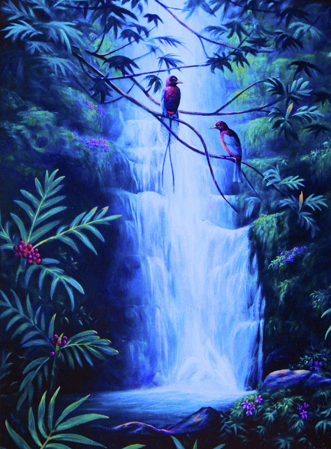 Bird Falls by Ed Breeding Bird Falls by Ed Breeding