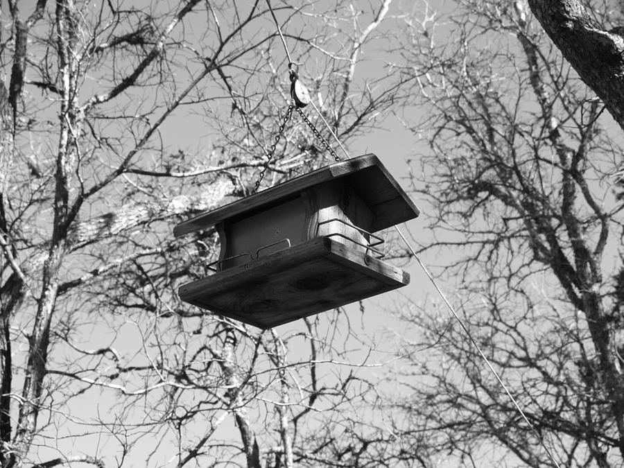 Bird Feeder from a string Photograph by James Granberry