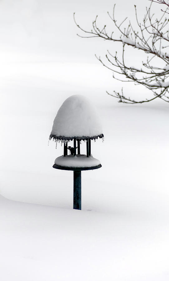 Bird Feeder in Snow Photograph by Greg Reed