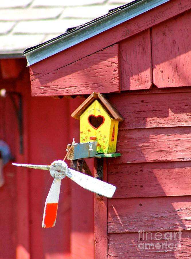 Bird house Photograph by Deena Withycombe