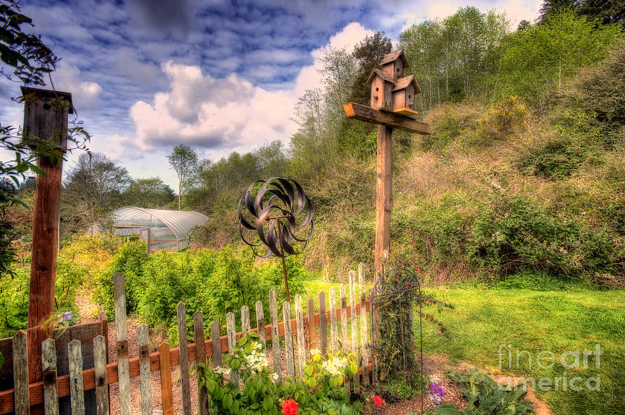 Bird House in The Garden Digital Art by Christopher Cutter