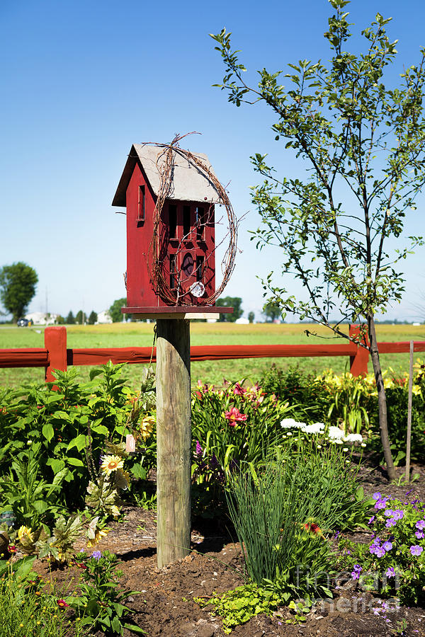 Bird House Photograph by Lawrence Burry