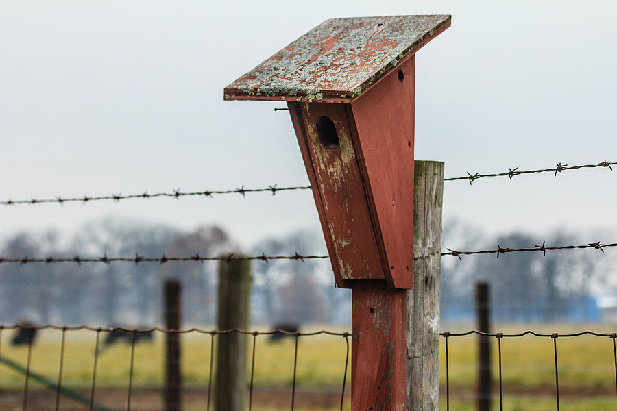 Bird House on the Buffalo Fence Photograph by Joni Eskridge