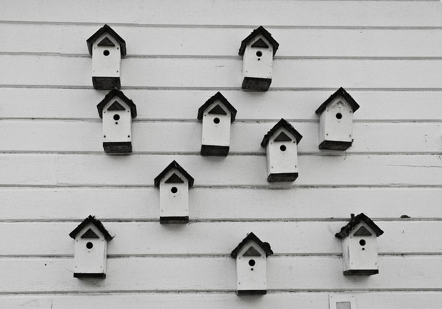 Bird Houses Photograph by Craig Perry-Ollila