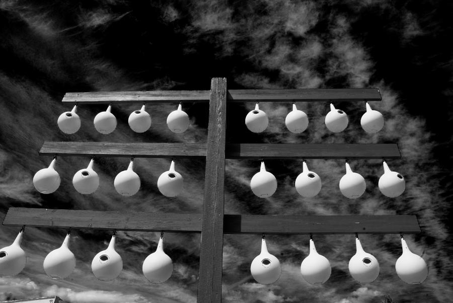 Bird Houses In Black And White Photograph by Craig Perry-Ollila