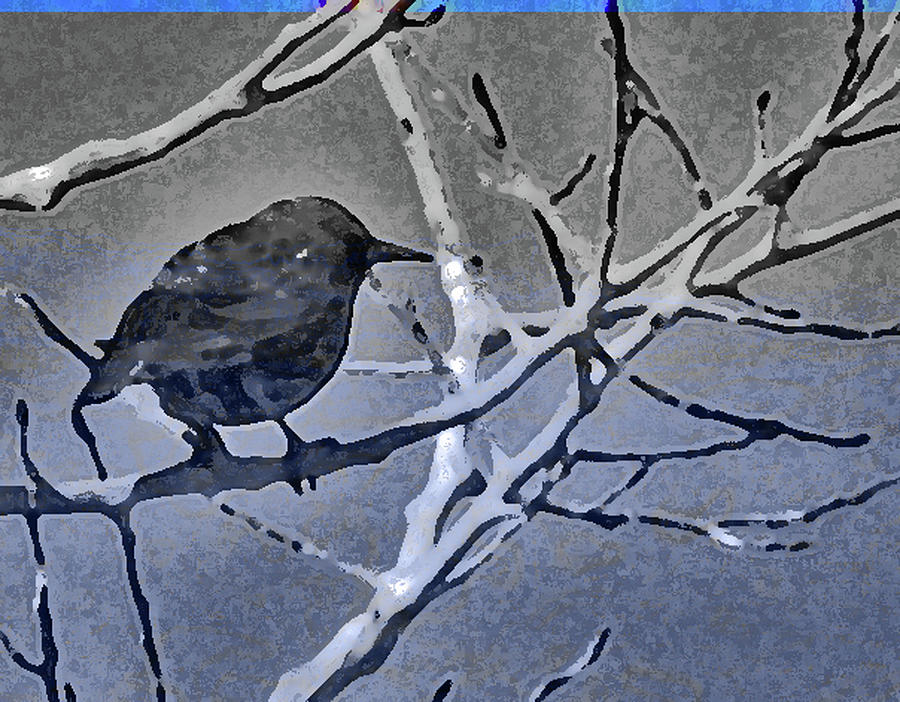 Bird in Digital Blue Photograph by Lenore Senior