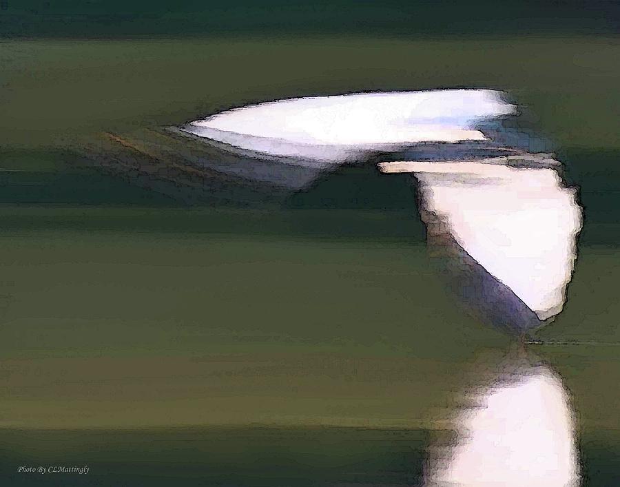 Bird in Flight Photograph by Coke Mattingly