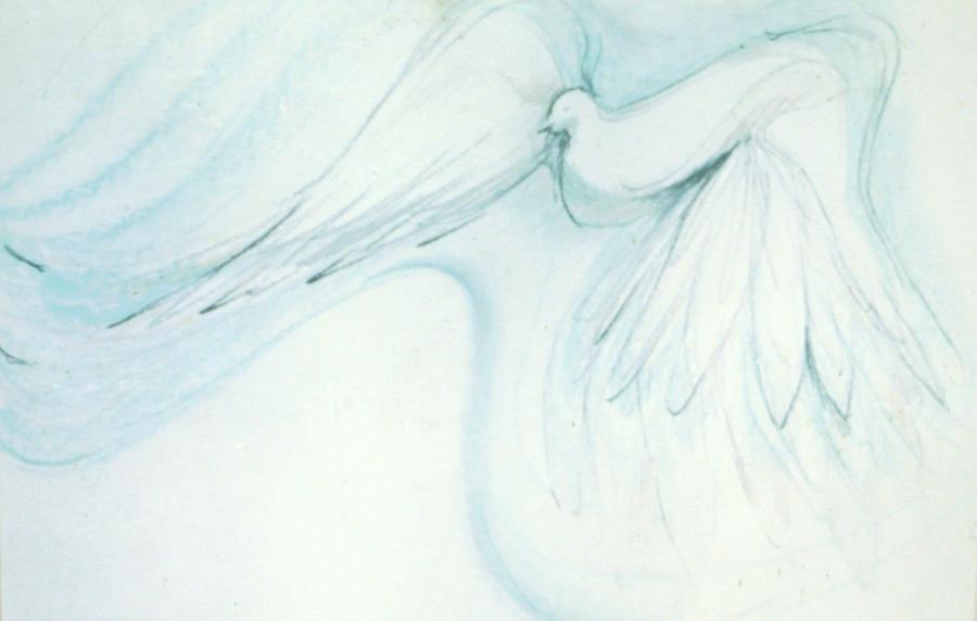 Bird In Flight Drawing by Denise F Fulmer