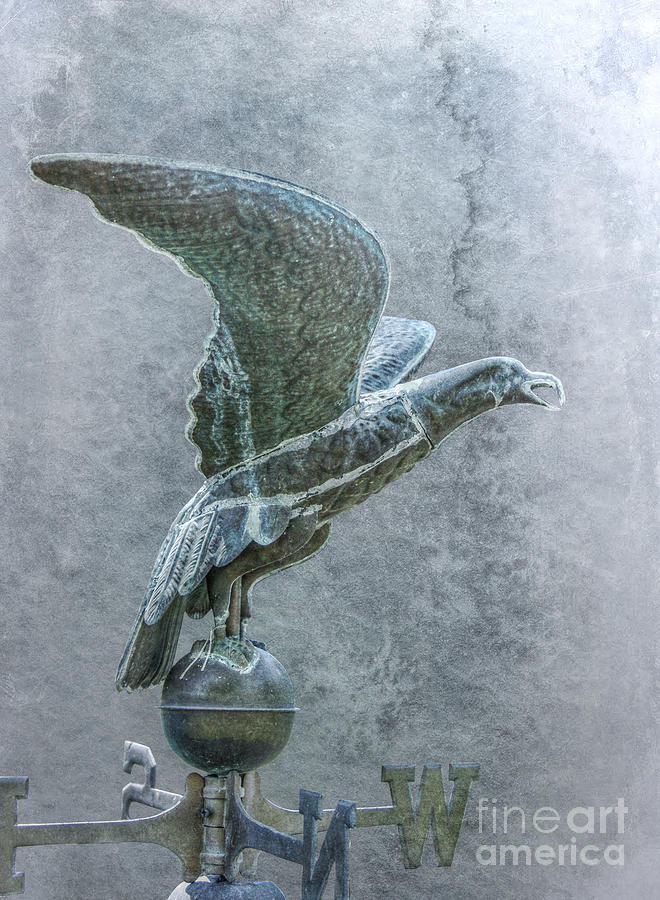 Bird in Flight Weathervane Digital Art by Randy Steele