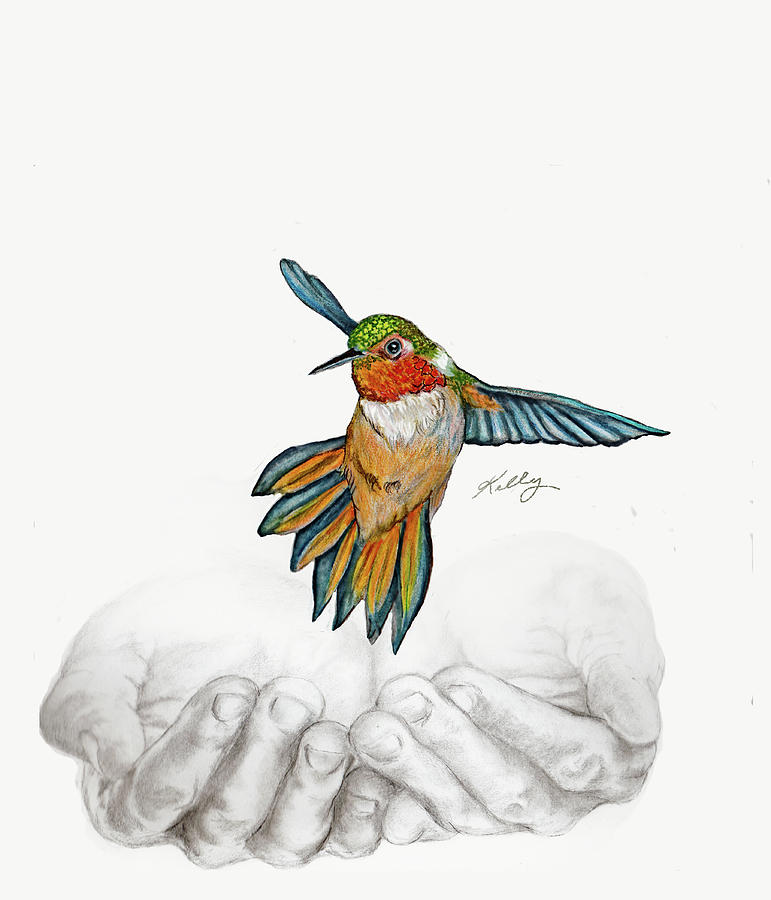 Bird In Hand Drawing by Kathleen Kelly Thompson Fine Art America