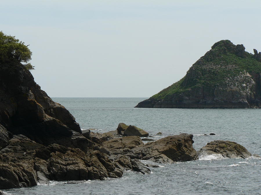 Bird Island Photograph by Lynne Iddon - Fine Art America