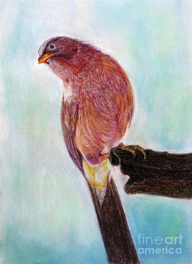 Bird Painting by Jasna Dragun