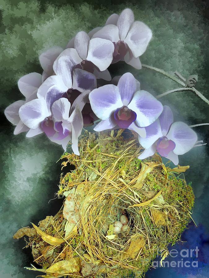 Bird Nest And Watercolor Orchids Photograph by Renee Trenholm