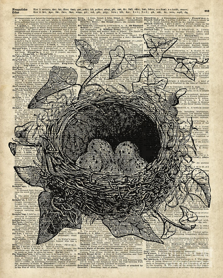 Bird Digital Art - Bird Nest with eggs by Anna W