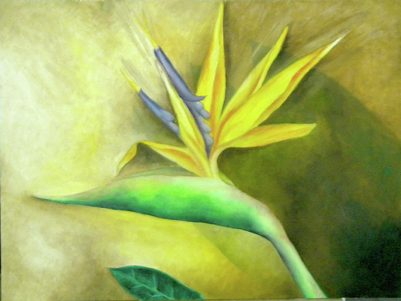 Bird of Paradise 1 Painting by Miriam Besa | Fine Art America