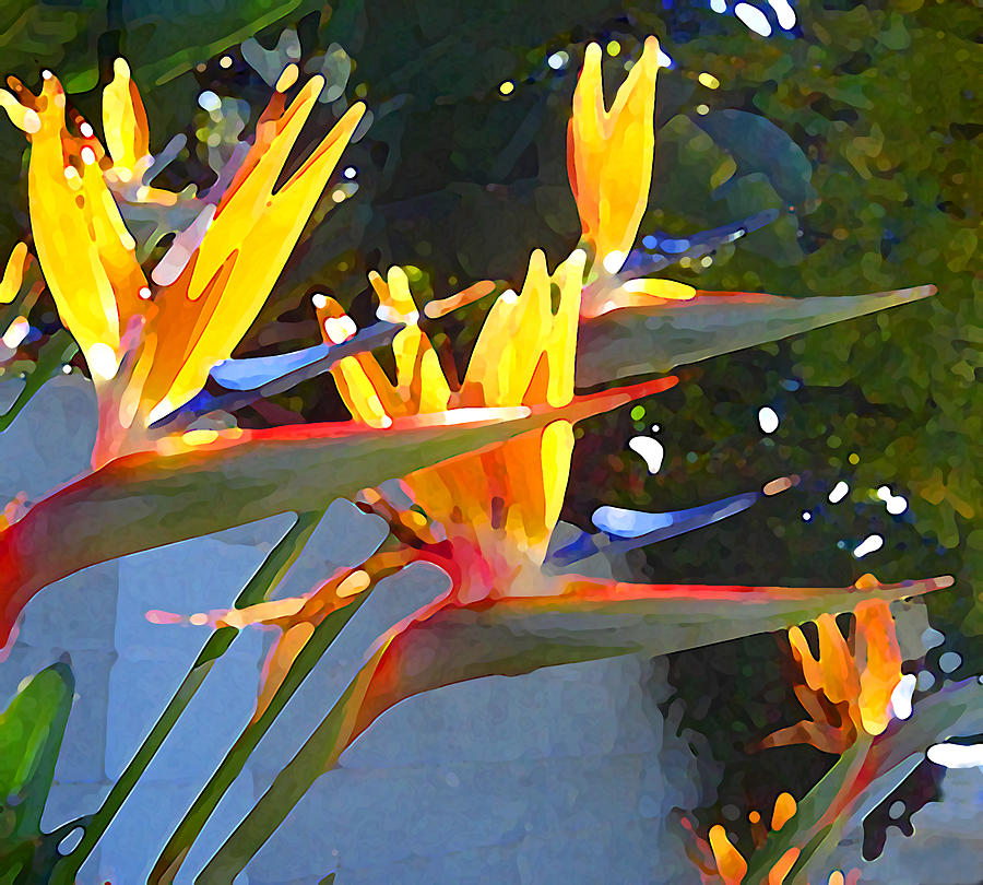 Bird Of Paradise Backlit By Sun Painting