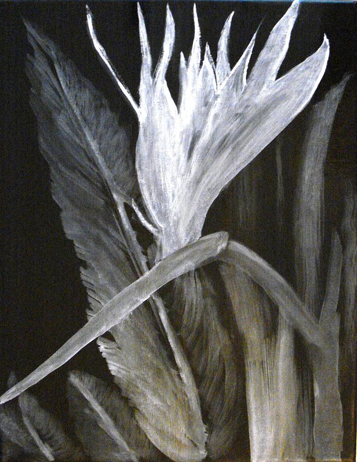 Bird of Paradise Black and White Painting by Rita Tortorelli