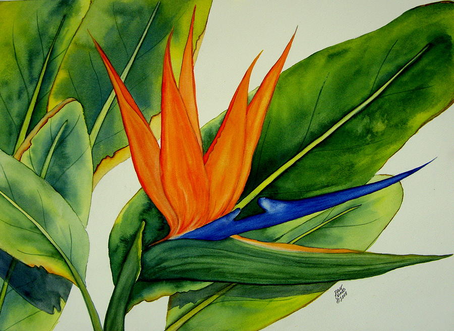 Bird of Paradise Painting by Dave Combs