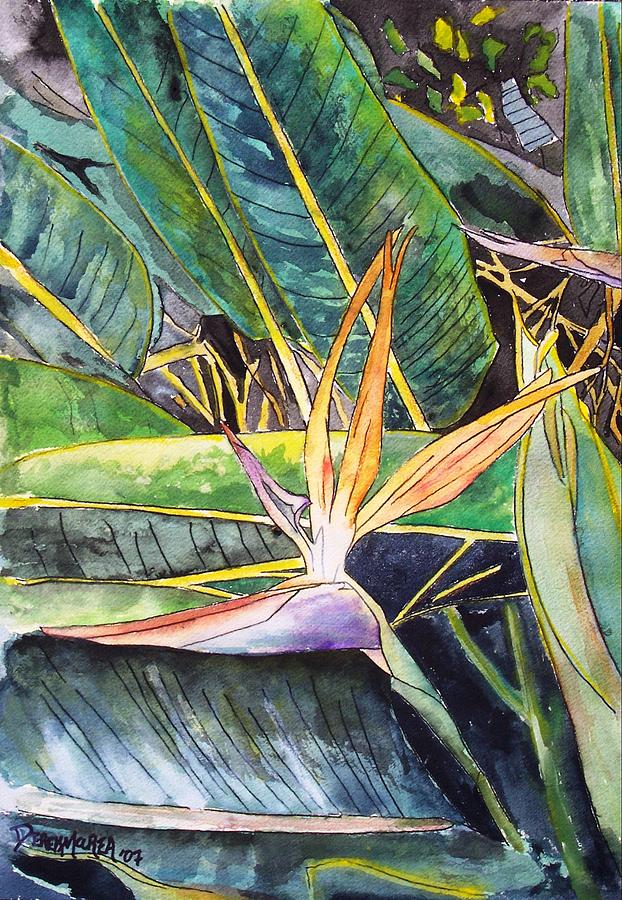 Watercolor Painting - Bird of Paradise by Derek Mccrea Watercolor Painting - Bird of Paradise by Derek Mccrea