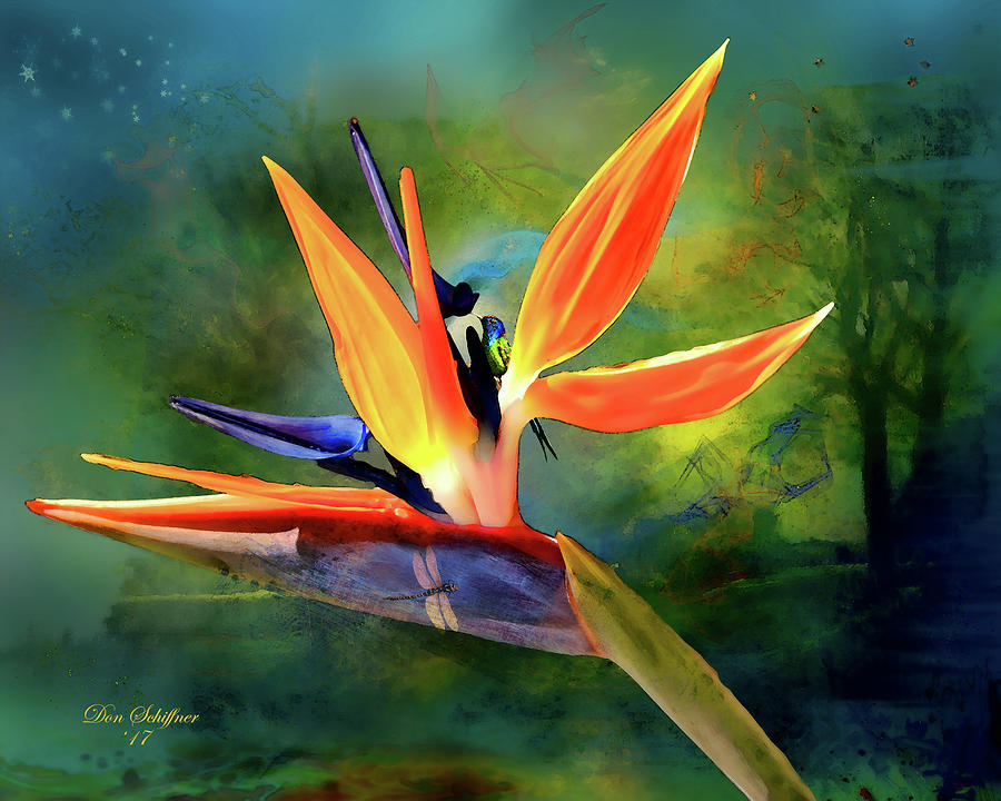 Bird of Paradise Digital Art by Don Schiffner